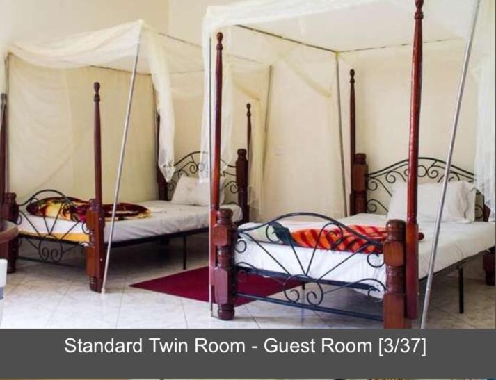 اتاق اکونومی, Palace