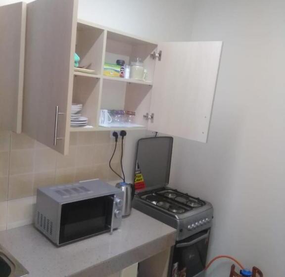 آپارتمان 1 خوابه با بالکن, Palace