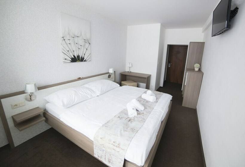 标准间带湖景, Star Lipno