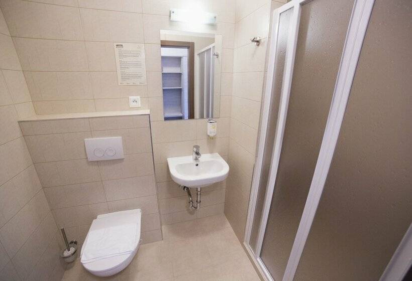 标准间带湖景, Star Lipno