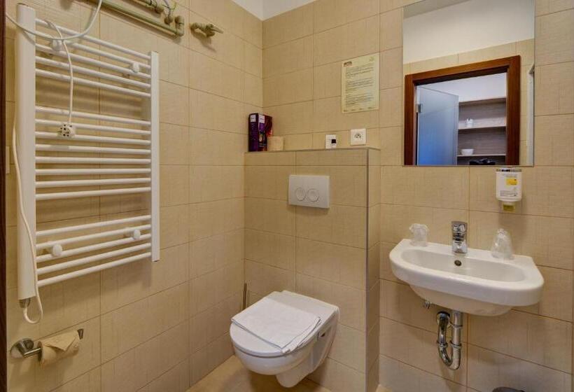 标准间带湖景, Star Lipno