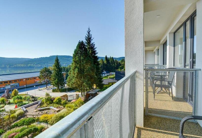 标准间带湖景, Star Lipno