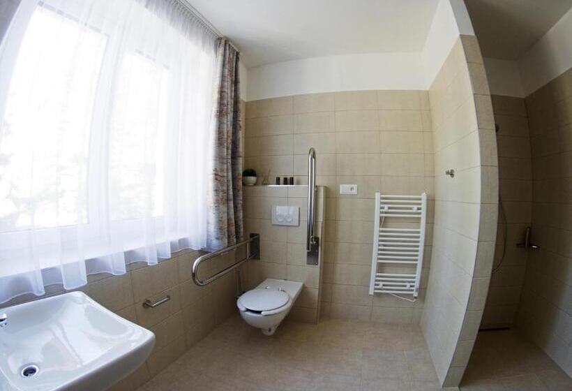 标准间, Star Lipno