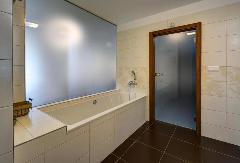 1 Bedroom Apartment Lake View, Star Lipno