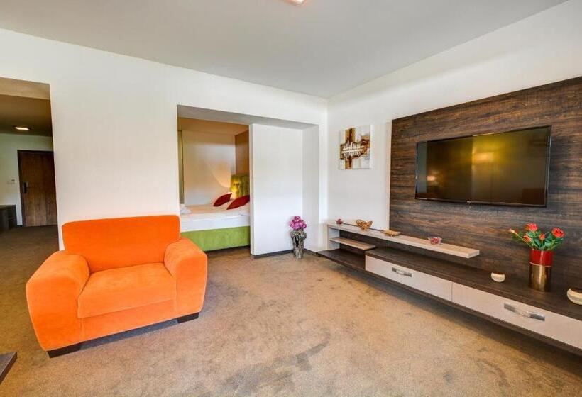 1 Bedroom Apartment Lake View, Star Lipno