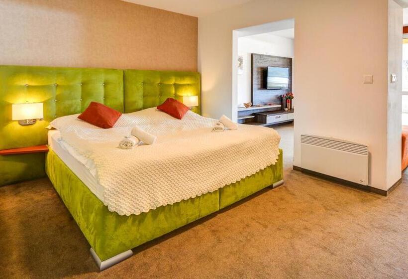 1 Bedroom Apartment Lake View, Star Lipno