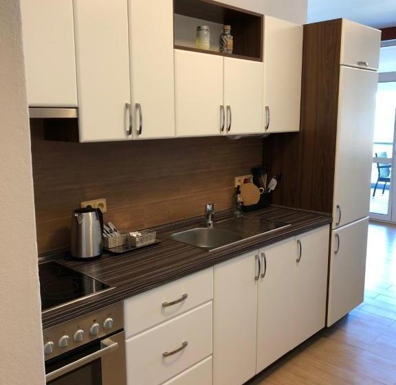 带1个卧室的公寓, Star Lipno