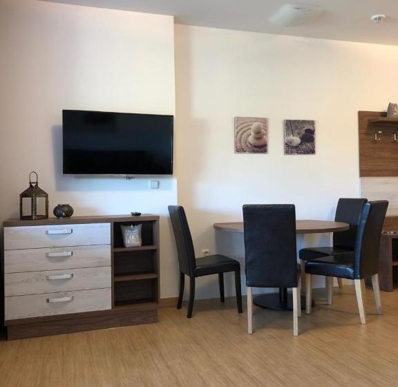 带1个卧室的公寓, Star Lipno