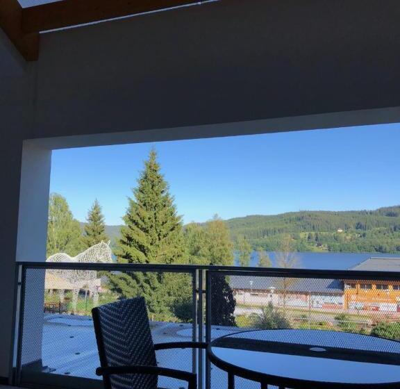 带1个卧室的公寓, Star Lipno