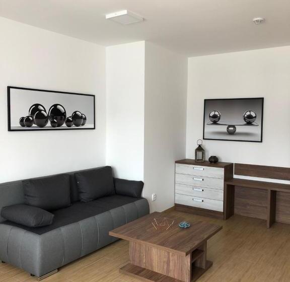 带1个卧室的公寓, Star Lipno