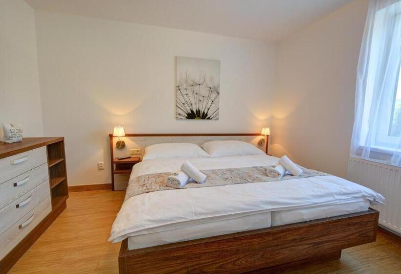 带1个卧室的公寓, Star Lipno