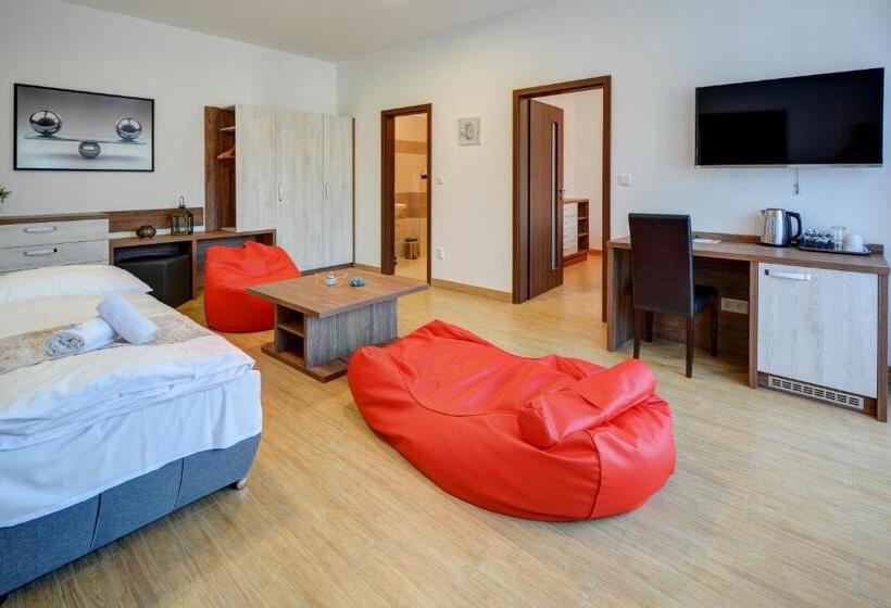 带1个卧室的公寓, Star Lipno