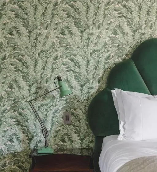 Camera Deluxe, Thyme