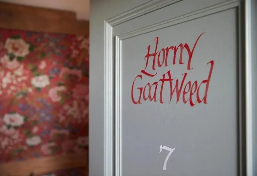 Camera Standard, Thyme