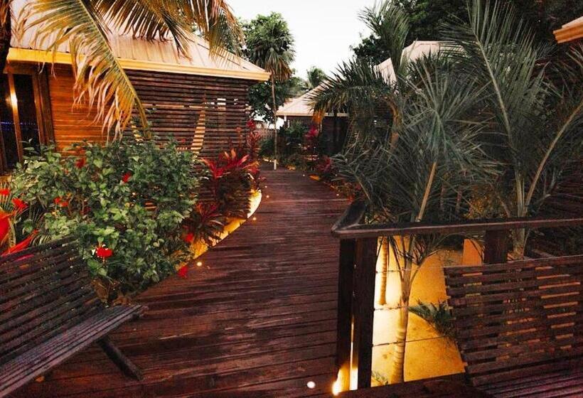 استودیو استاندارد با تخت کینگ, Pur Boutique Cabanas, Adults Only