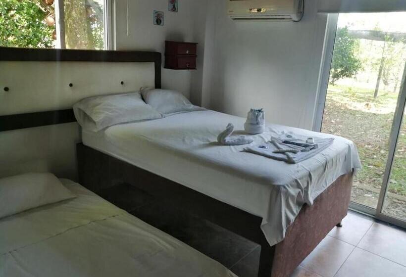 ３ベッドルームアパートメント, Finca Hotel Mesopotamia