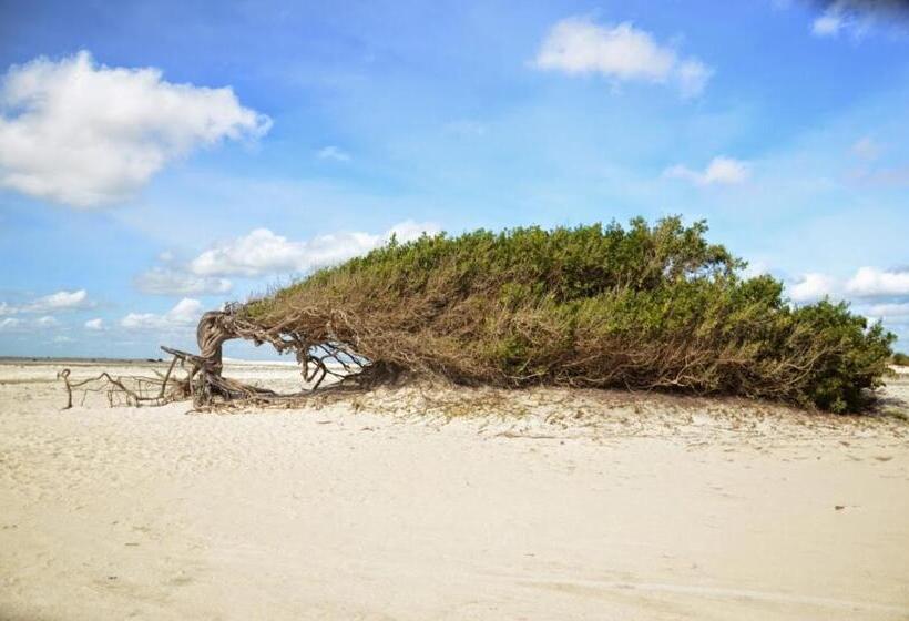 Стандартный Номер Кровать Кинг, Miss Penelope