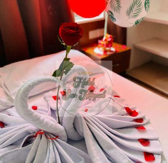 标准单人间, San Miguel Apartadó