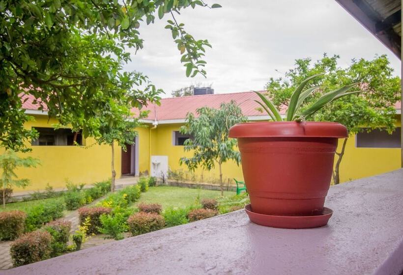 اتاق استاندارد یک نفره, Bethel Guesthouse