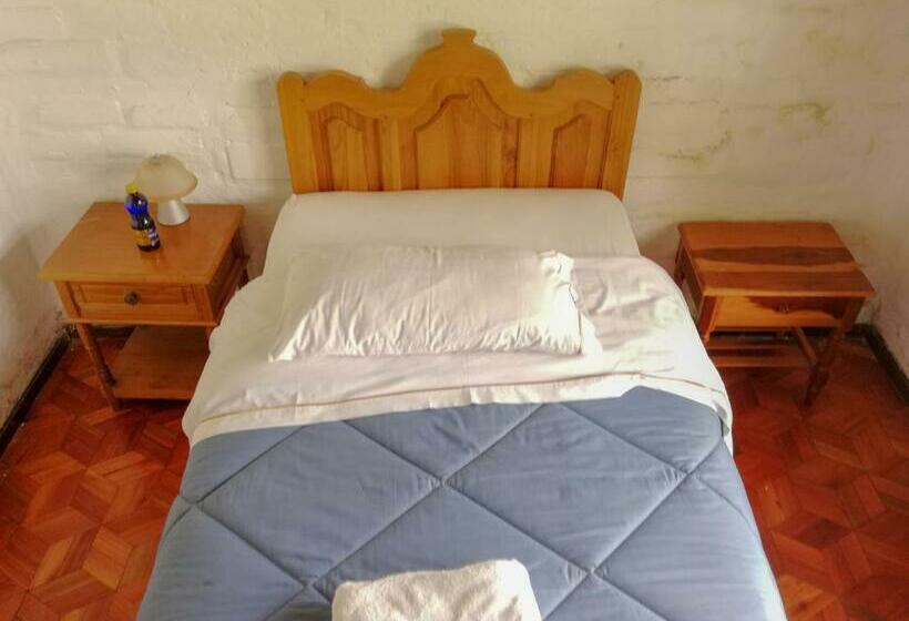 غرفة قياسية فردية, La Primavera