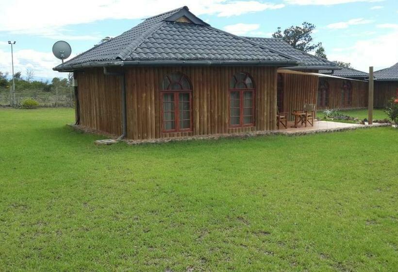 اتاق لوکس, The Nelion