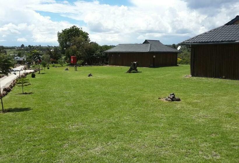 اتاق لوکس, The Nelion