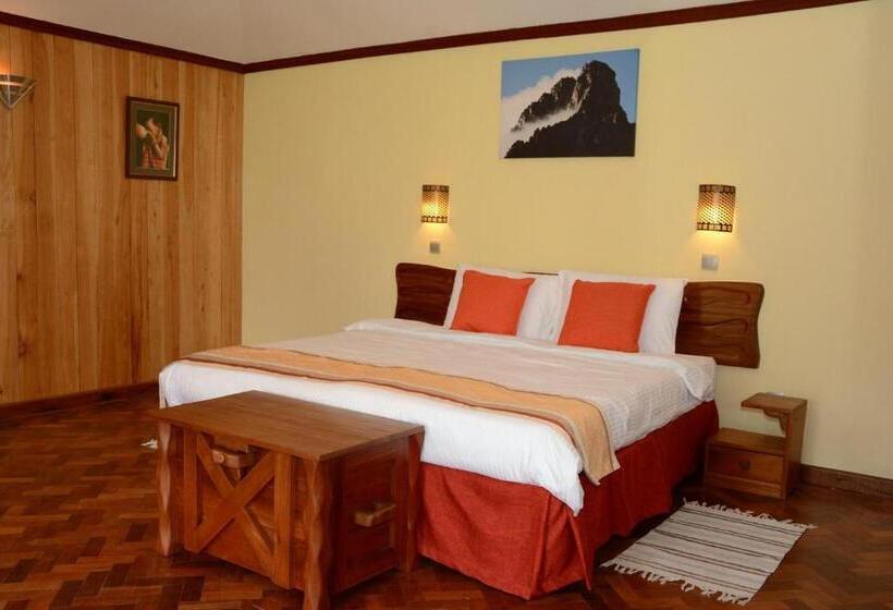 اتاق لوکس, The Nelion