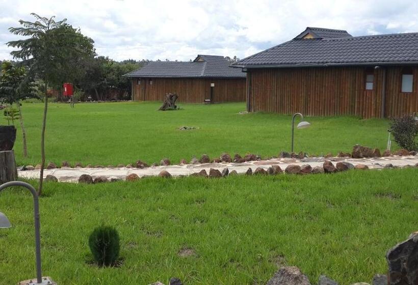 اتاق سوپریور, The Nelion