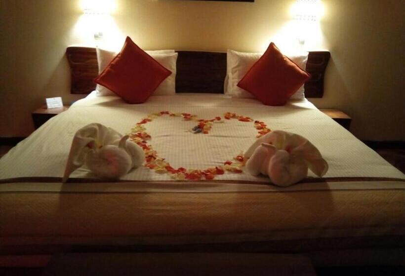 اتاق سوپریور, The Nelion