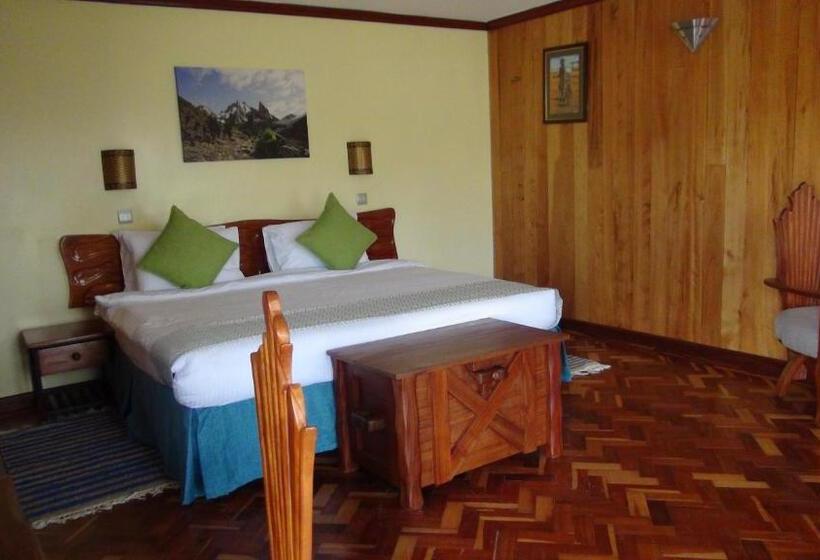 اتاق لوکس یک تخته, The Nelion