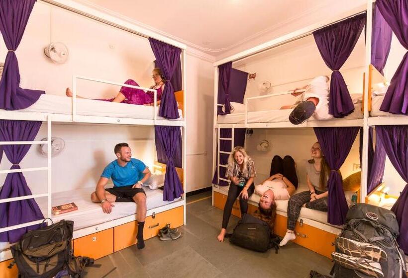 Cama em Quarto Compartilhado, Gostops Udaipur