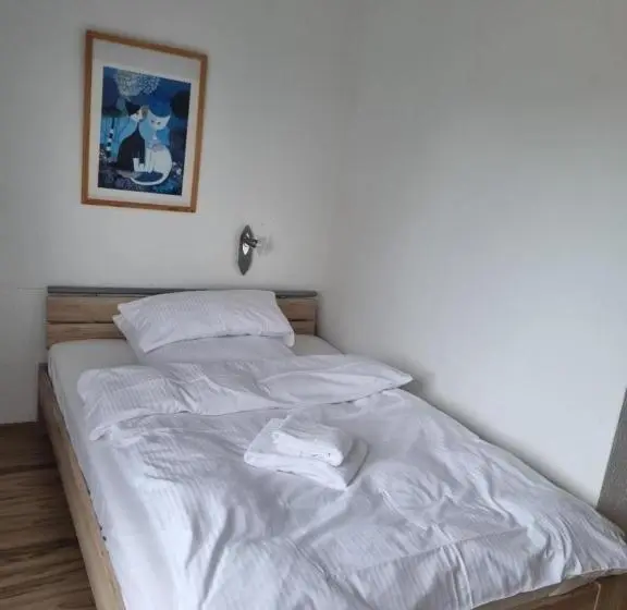 Standart Tek Kişilik Oda, Pension Anke