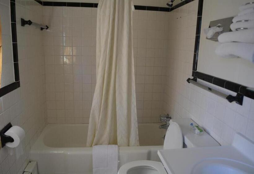 Одноместный Номер Basic, Ventura Motel