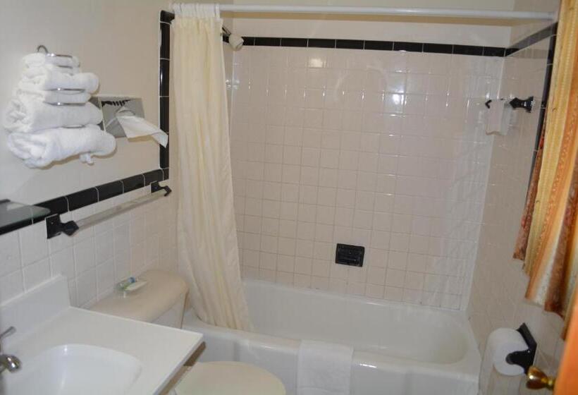 Одноместный Номер Basic, Ventura Motel