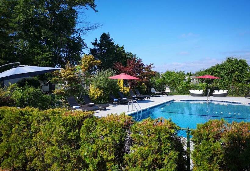 חדר סטנדרט, Baywatch Hotel & Marina