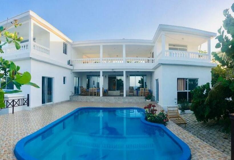 スタンダードルーム, Maxanika