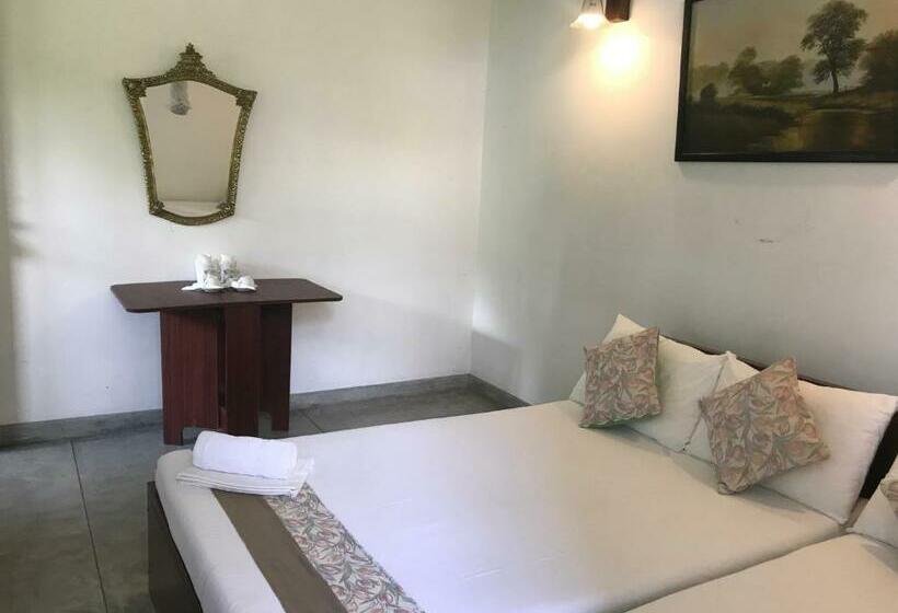 标准间, Rockydale Home Stay