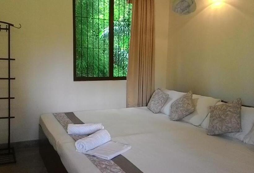 家庭间, Rockydale Home Stay