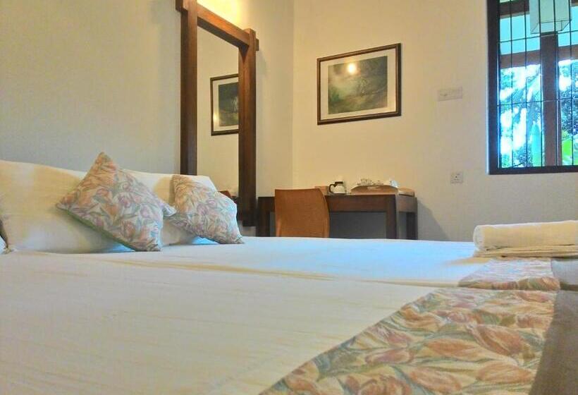 家庭间, Rockydale Home Stay