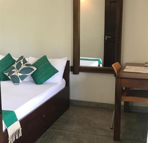 家庭间, Rockydale Home Stay