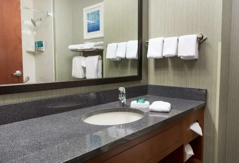 キングサイズベッドのスイートルーム, Drury Inn & Suites Burlington