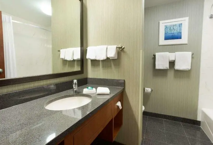 キングサイズベッドのデラックスルーム, Drury Inn & Suites Burlington