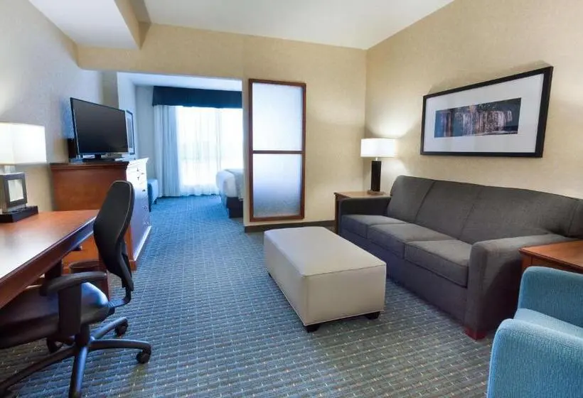 キングサイズベッドのデラックスルーム, Drury Inn & Suites Burlington