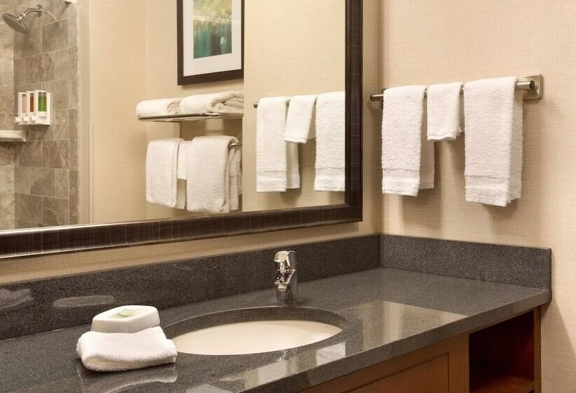 جناح لذوى الاحتياجات الخاصة, Drury Inn & Suites Burlington