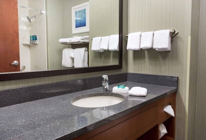 Люкс Адаптированный для Инвалидов, Drury Inn & Suites Burlington