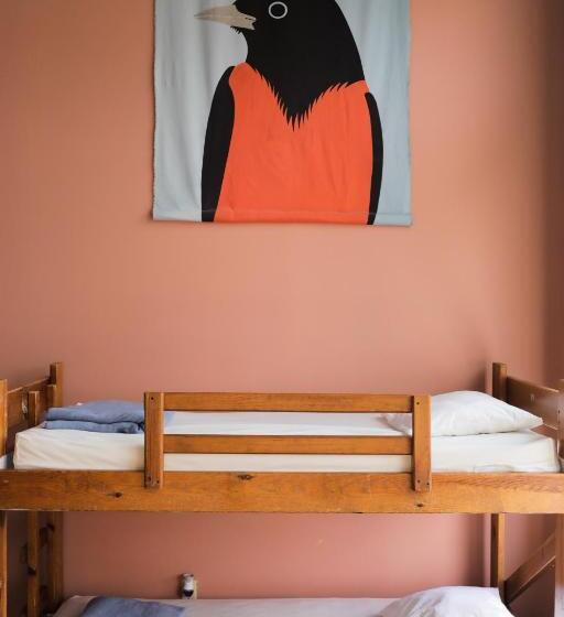 Кровать в Общей Комнате, Hostel Buffalo Niagara