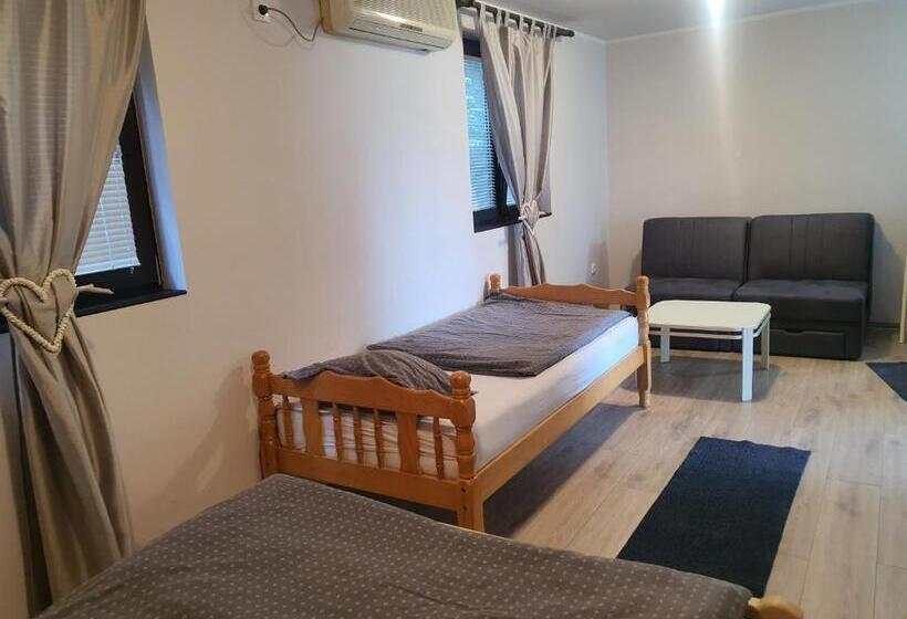 آپارتمان 1 خوابه, Hostelche Guest House