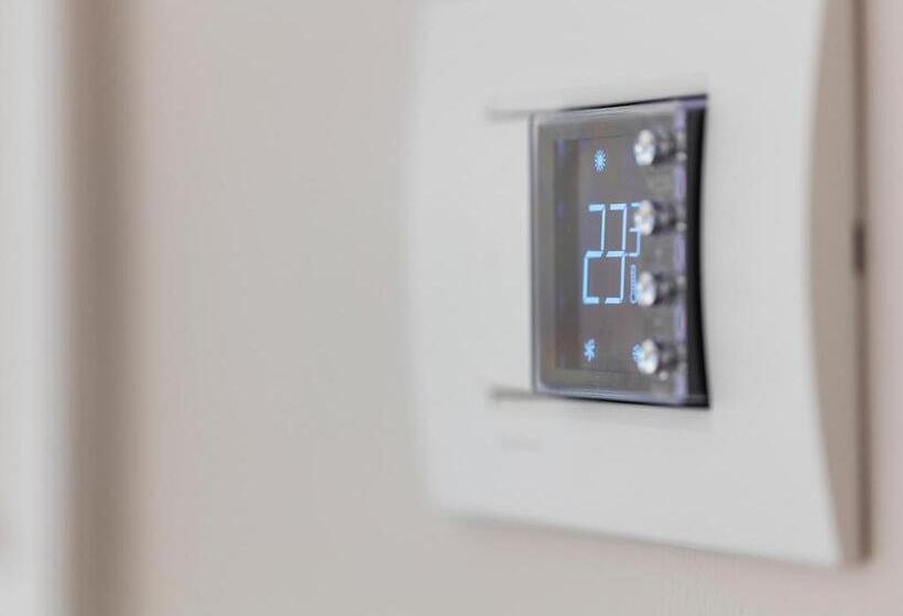 غرفة قياسية ثلاثية, Mane Boutique