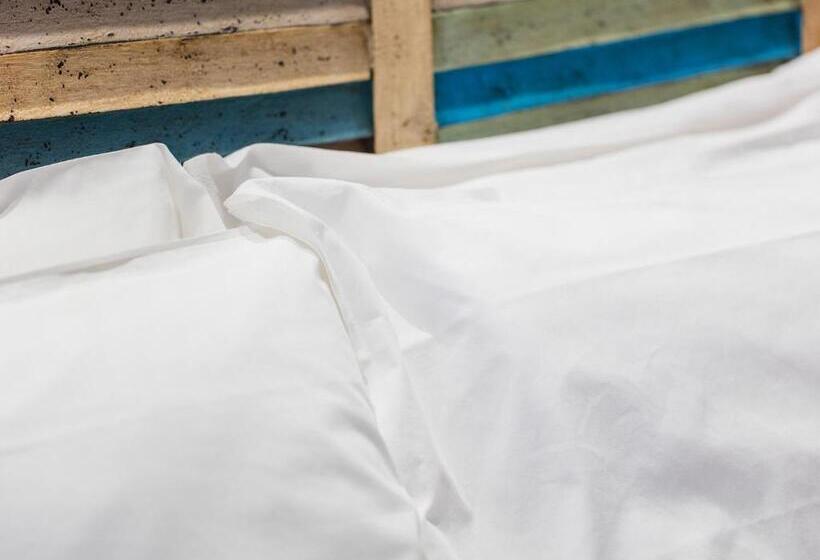 غرفة قياسية, Mane Boutique