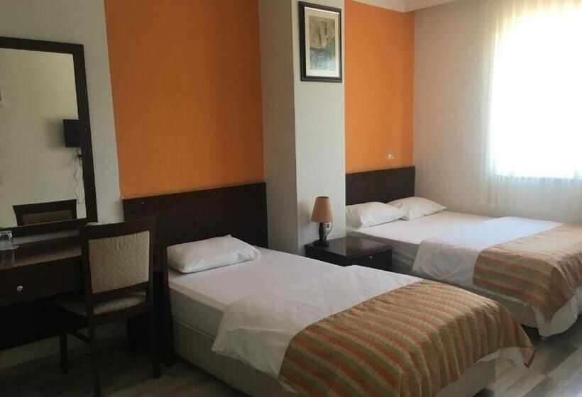 اتاق استاندارد سه نفره, Mutado